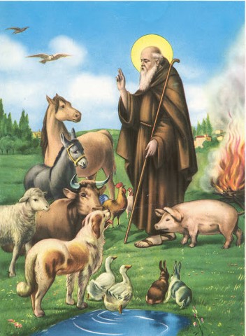 san antonio abate